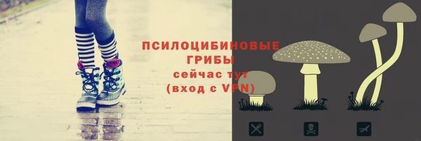 дживик Алзамай