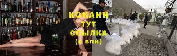 прущие крисы Арсеньев